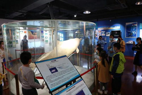 公告 關(guān)于12月30日 科普問(wèn)答 答案公告